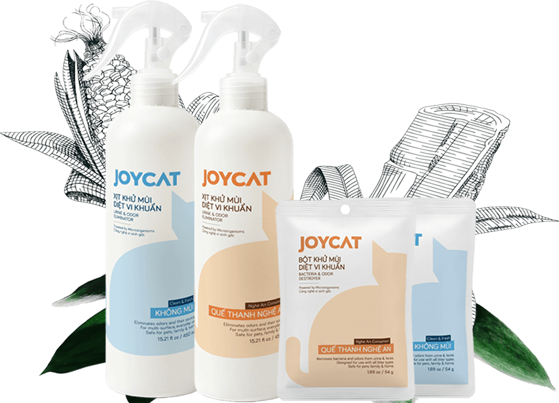 Joycat Vi sinh khử mùi