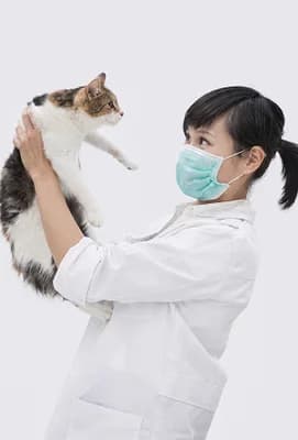 Dr. Lê Yên Lam